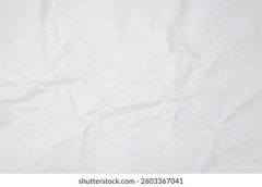 纸浆原料加工处理